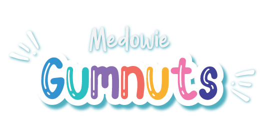 Medowie Gumnut Preschool Rated Exceeding National Quality Standards